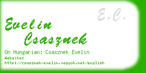 evelin csasznek business card